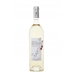 Vin Blanc - Côtes de Provence - Domaine de la Rose Trémière - Blanc 2025