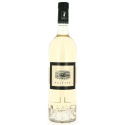 Vin Blanc - Côtes de Provence - Domaine Valette - Hautes Restanques - Blanc 2025