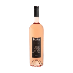 Vin Rosé - Côtes de Provence - Domaine des Terres Rouges - Mas Becky - Rosé 2020