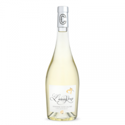 Vin Blanc - Côtes de Provence - Domaine du Clos Gautier - Blanc 2023