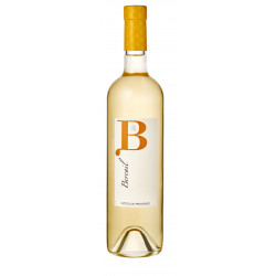 Vin Blanc - Côtes de Provence - Domaine le Bercail - Amandiers - Blanc 2025