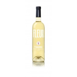 Vin Blanc - Côtes de Provence - Domaine de l'Amaurigue - Fleur de l'Amaurigue - Blanc 2023