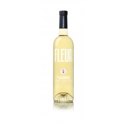 Vin Blanc - Côtes de Provence - Domaine de l'Amaurigue - Fleur de l'Amaurigue - Blanc 2024