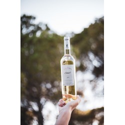 Vin Blanc - Côtes de Provence - Château Mouresse - Classic - Blanc 2022