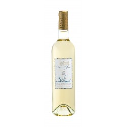Vin Blanc - Côtes de Provence - Domaine de Bunan - Bélouvé - Blanc 2023
