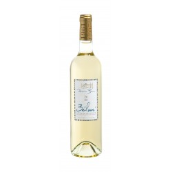 Vin Blanc - Côtes de Provence - Domaine de Bunan - Bélouvé - Blanc 2025