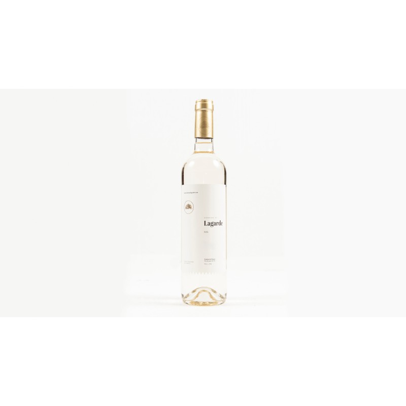 Vin Blanc - Côtes de Provence - Château Lagarde - La Source - Blanc 2025