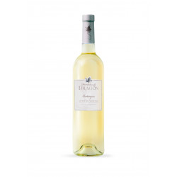 Vin Blanc - Côtes de Provence - Domaine du Dragon - Restanques - Blanc 2025