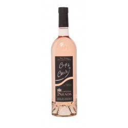 Vin Rosé - Côtes de Provence - Château Paradis - Coup de Coeur - Rosé 2021