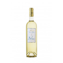 Vin Blanc - Côtes de Provence - Domaine de Bunan - Bélouvé - Blanc 2021