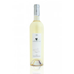 Vin Blanc - Côtes de Provence - Château Vert - Blanc 2023