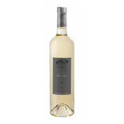 Vin Blanc - Côtes de Provence - Domaine de l'Anticaille - Mazurka - Blanc 2021