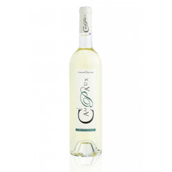 Vin Blanc - Côtes de Provence - Domaine des Campaux - Les Cannissons - Blanc 2021