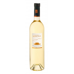 Vin Blanc - Côtes de Provence - Vignobles Ravel - Château Montaud - Terre de Ravel - Blanc 2023