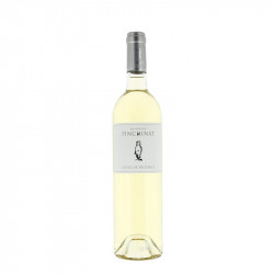 Vin Blanc - Côtes de Provence - Domaine de Pinchinat - Blanc 2022