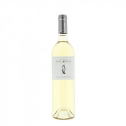 Vin Blanc - Côtes de Provence - Domaine de Pinchinat - Blanc 2025