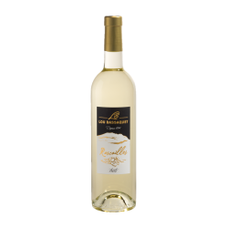 Vin Blanc - Côtes de Provence - Le Cellier Lou Bassaquet - Rascailles - Blanc 2023
